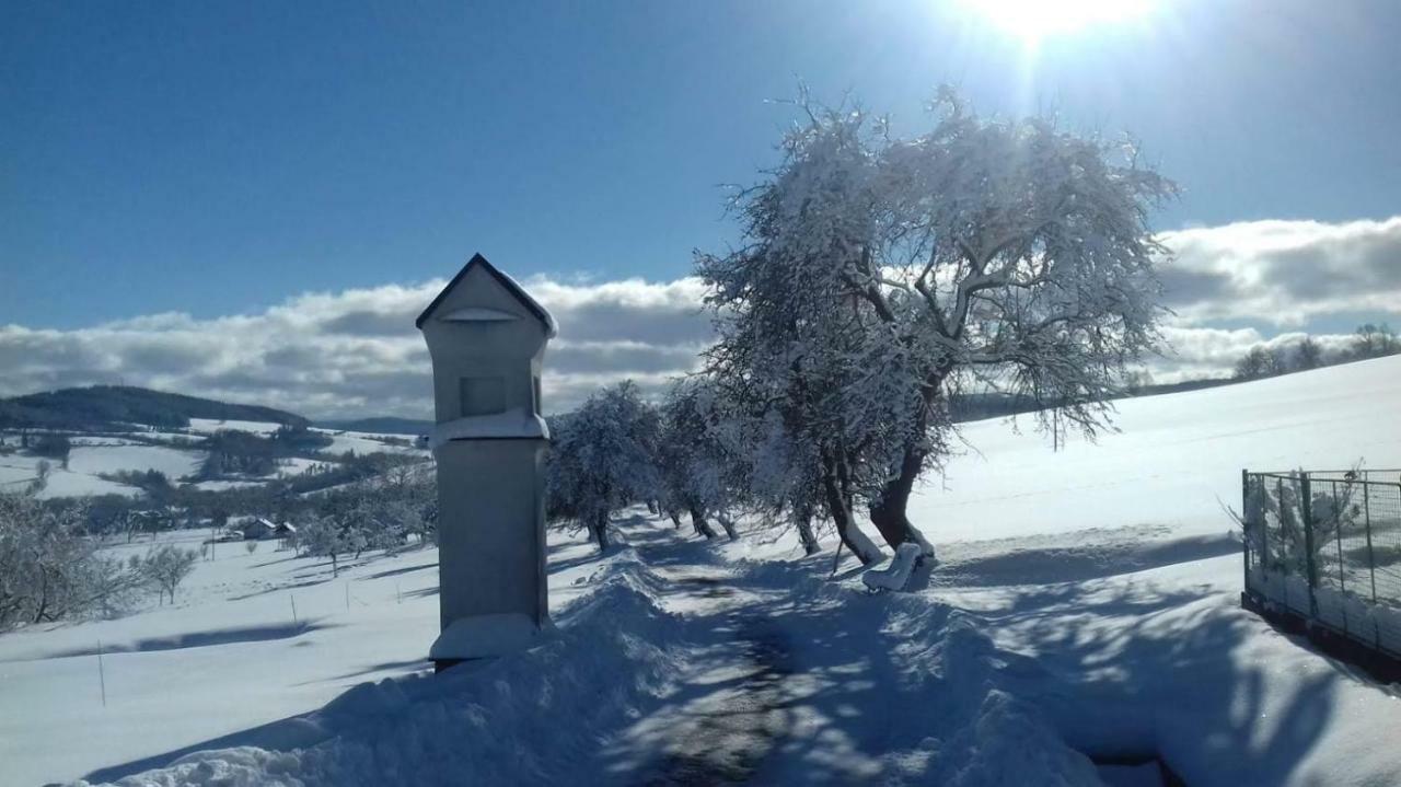 Stylova Chalupa Na Kraji Narodniho Parku Sumava Strunkov Εξωτερικό φωτογραφία